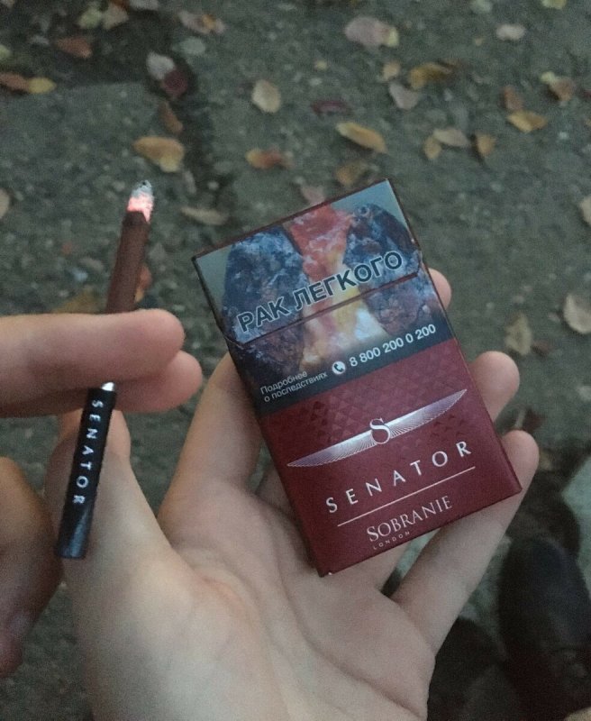 Senator сигареты тонкие