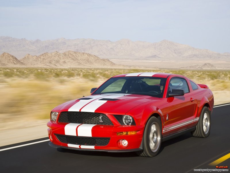 Ford Mustang Shelby 2005