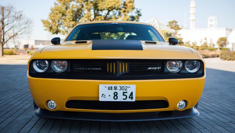 Dodge Challenger Yellow Jacket