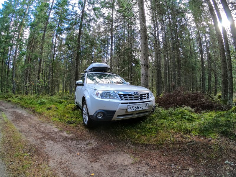 Subaru Forester Лесник