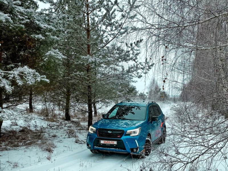 Subaru в лесу