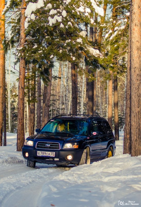 Subaru Forester Лесник