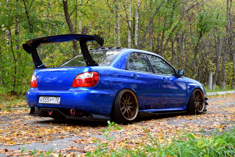Subaru Impreza WRX лиса