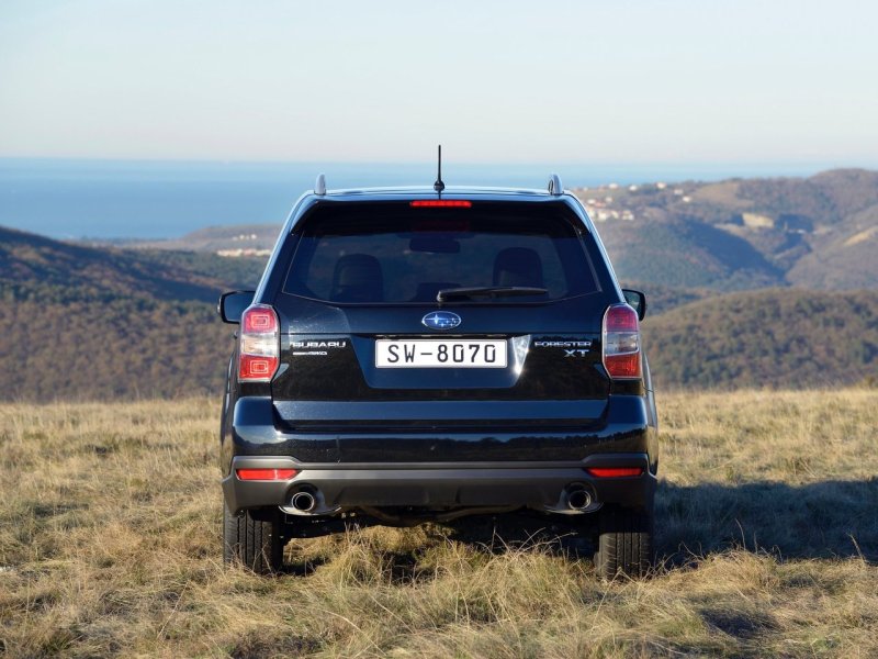 Subaru Forester 2014 сзади
