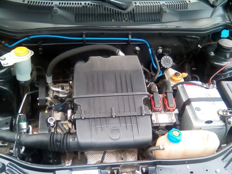 Fiat Albea 1.4 мотор