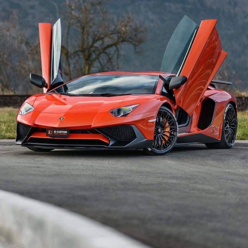 Lamborghini Aventador Doors