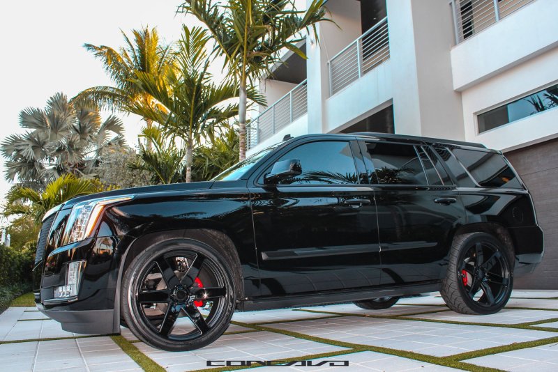 Escalade Custom