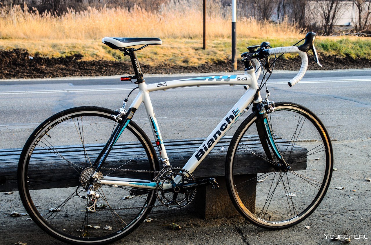 Дорога шоссейного типа 10 букв сканворд. Bianchi велосипеды шоссейные. Велосипед Fort Avenue шоссейный. Бианчи велосипед шоссейный 2015. Шоссейник Бианчи белый.