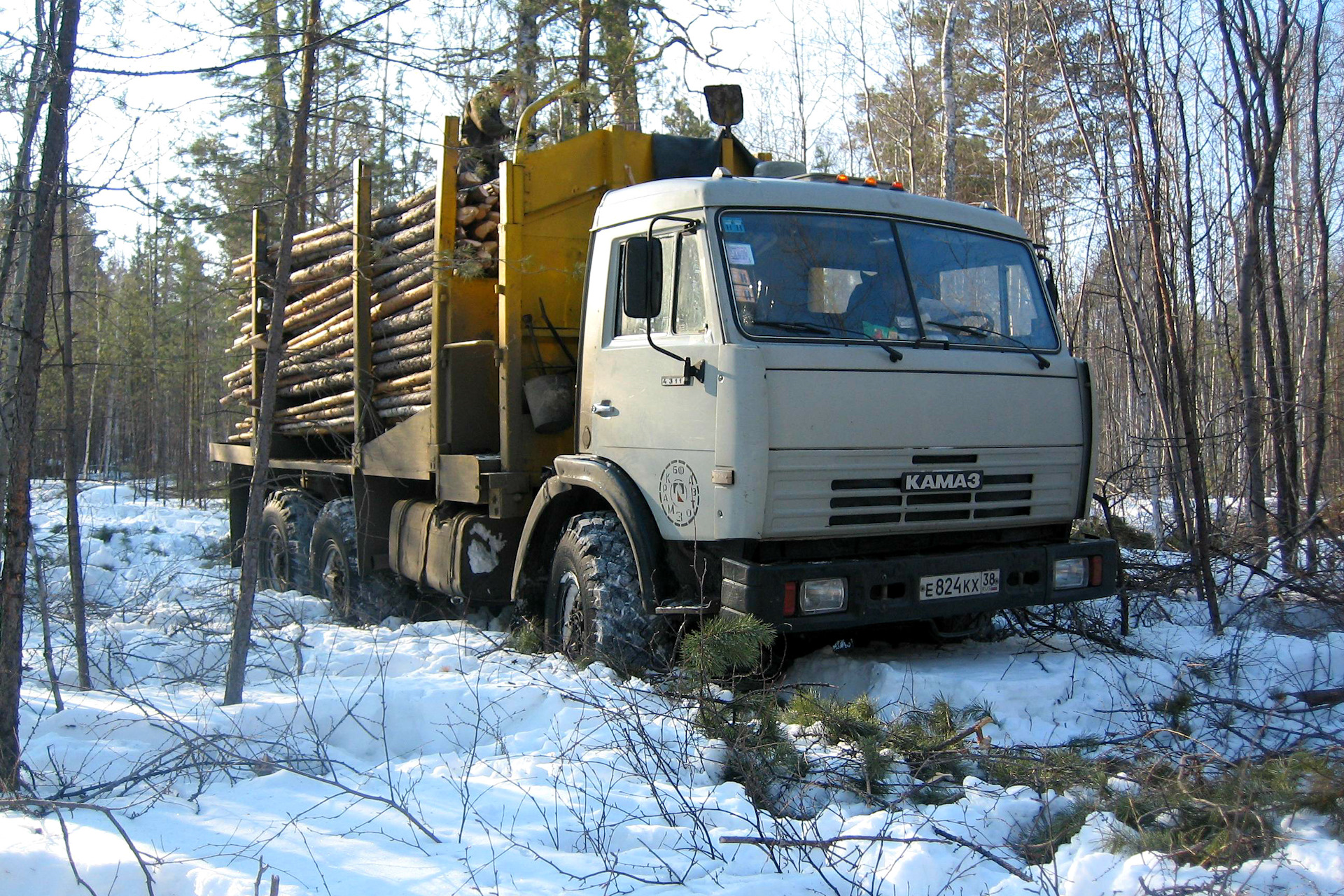 Камаз лесовоз. КАМАЗ 6423 лесовоз. КАМАЗ сортиментовоз с лесом 43118. КАМАЗ 43118 лесовоз груженый. КАМАЗ 4310 лесовоз груженый.