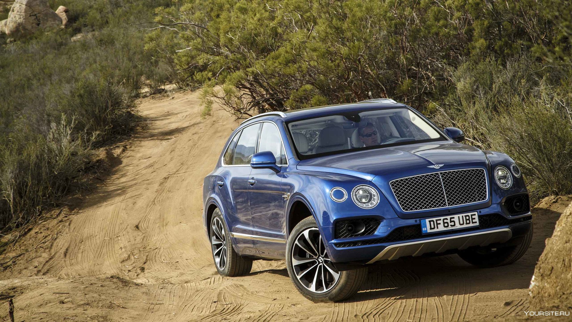 Bentley кроссовер Bentayga