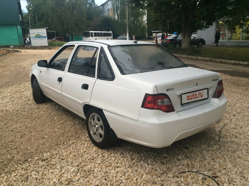 Nexia II White back