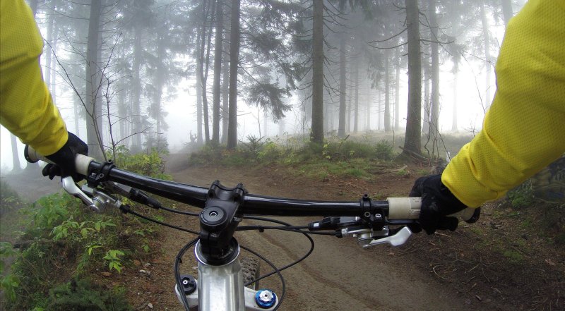 Велосипед вид от первого лица в лесу