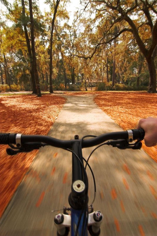 Осенние покатушки на велосипеде