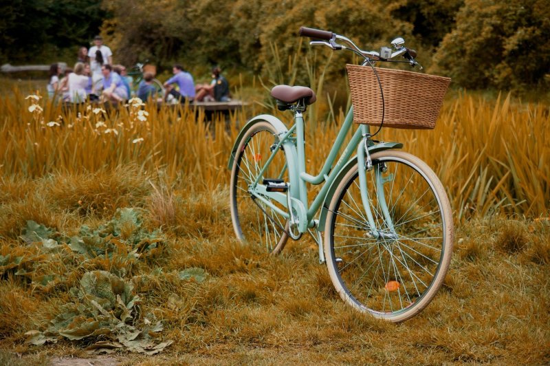 Городской велосипед Incognito Bicycle Latakia