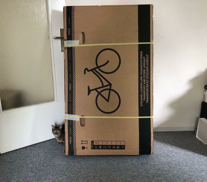 Упаковка велосипеда в коробку