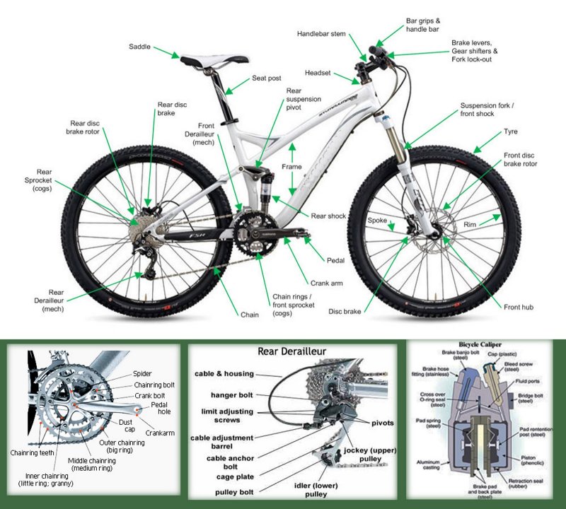 Part of Bicycle
