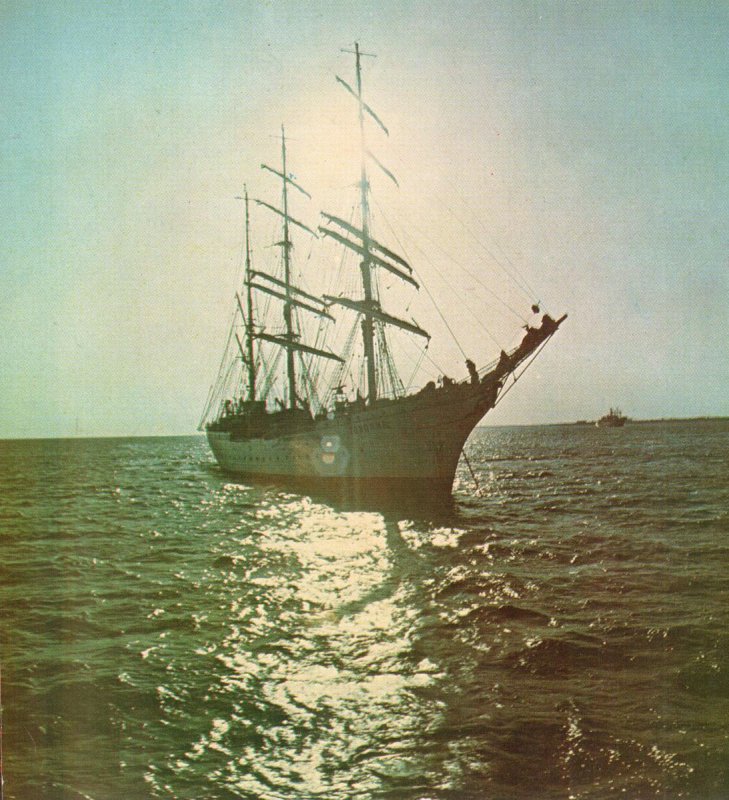 Барк товарищ Лауристон