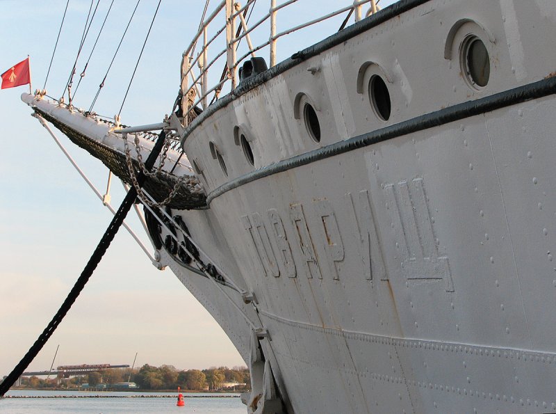 Барк товарищ 2022