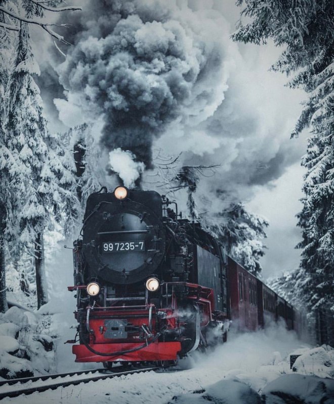 Паровоз в зимнем лесу