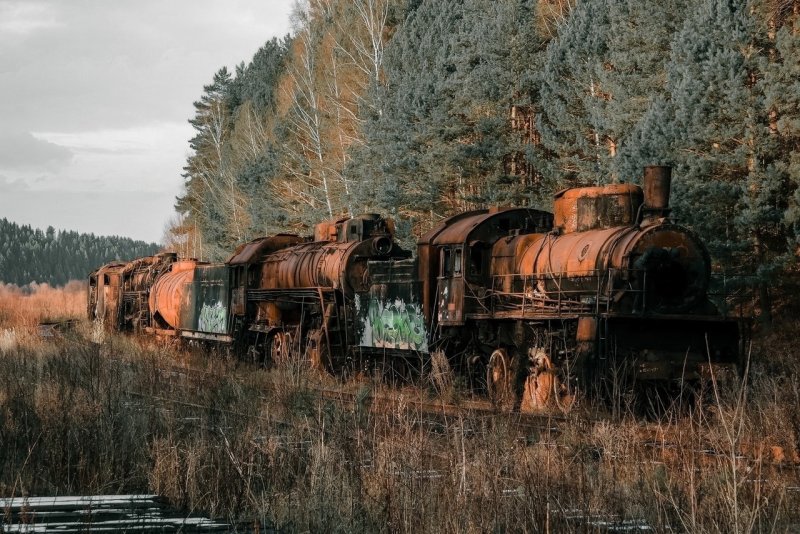 Шумково кладбище Паровозов