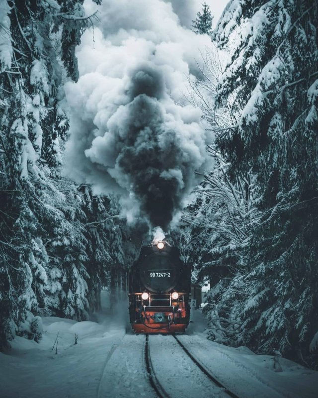 Паровоз в лесу