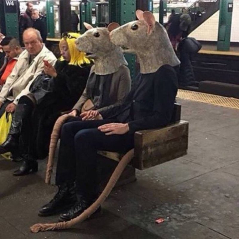 Мышь в метро