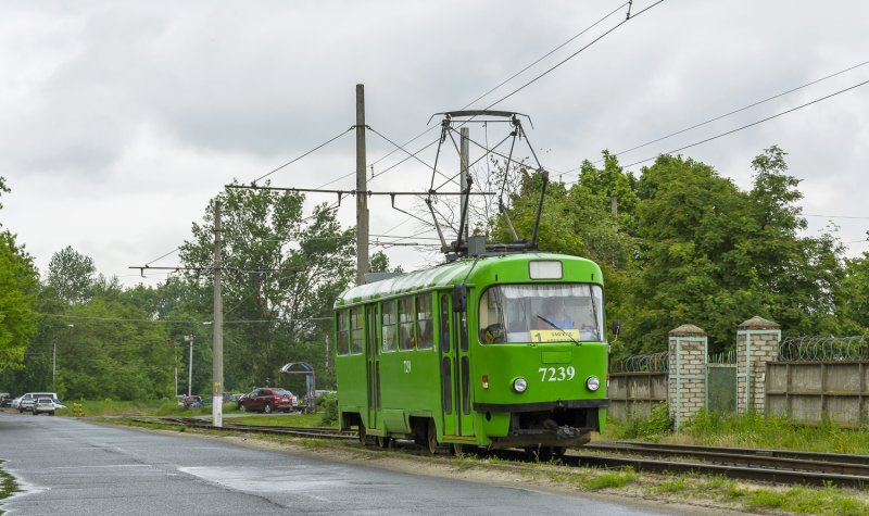 Трамвай Татра