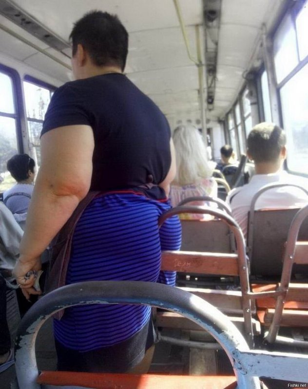 Толстые люди в автобусе