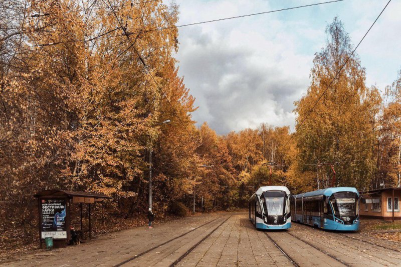 Трамвай Покровское-Стрешнево осень