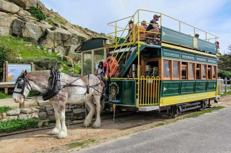 Дугласский конный трамвай
