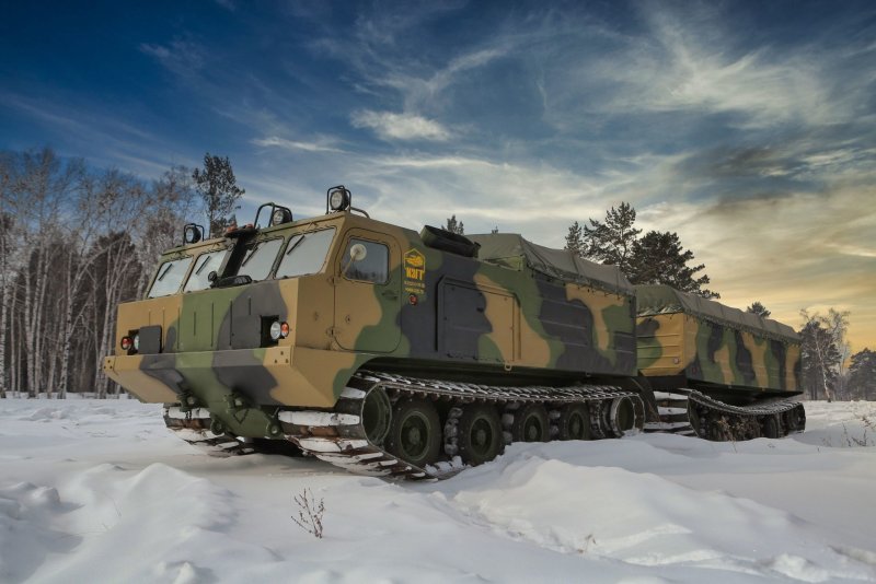 ДТ-10п Витязь