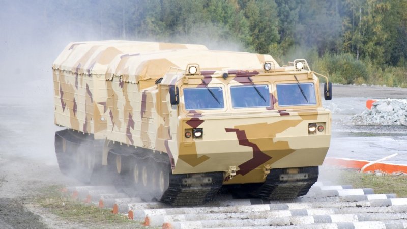 Витязь ДТ-30пм
