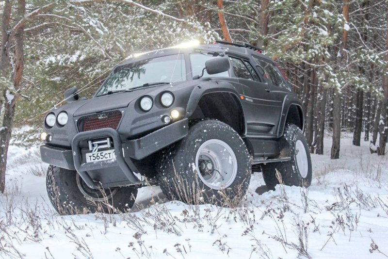 Вездеход-амфибия Викинг 29031