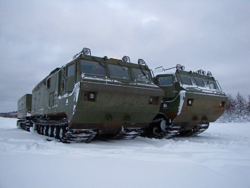 Витязь ДТ-30пм