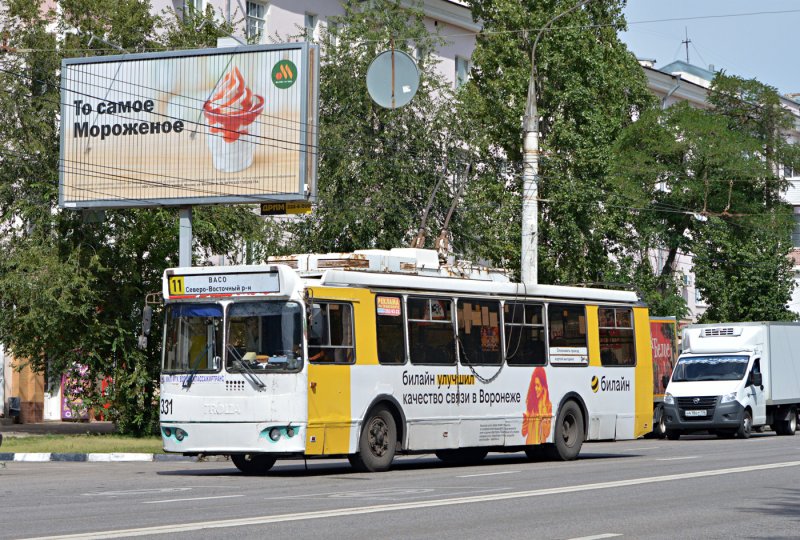 Воронеж новые троллейбусы 2022