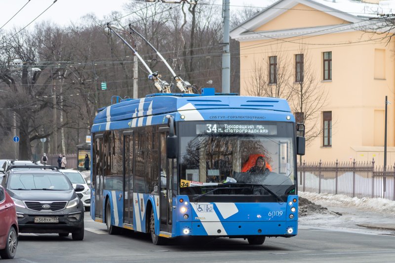 Тролза Мегаполис бронеморда