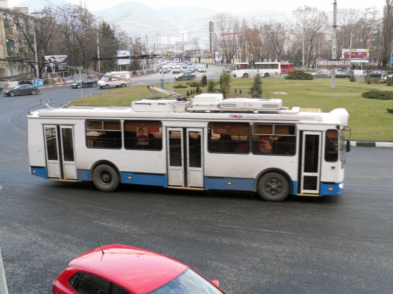 Тролза 682г гармошка