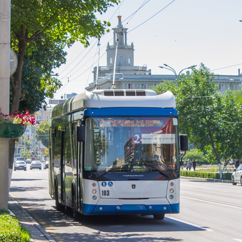 Ростов на Дону троллейбус 355