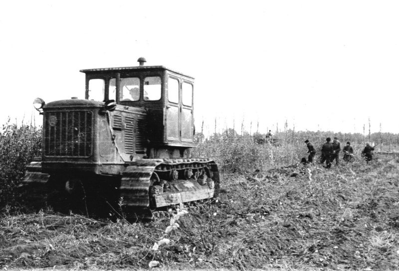 Сталинец-80 трактор