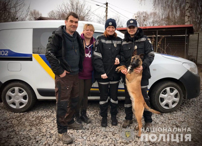Пёс Бэнтли