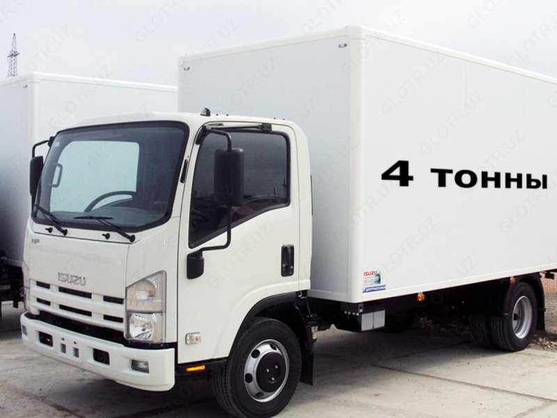Isuzu NQR 71 pl