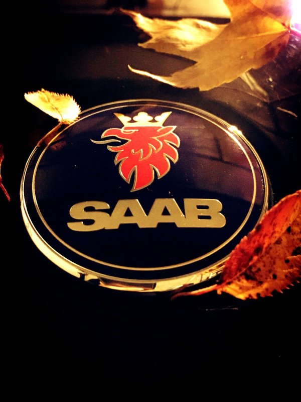 Saab эмблема