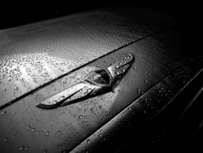 Aston Martin шильдик