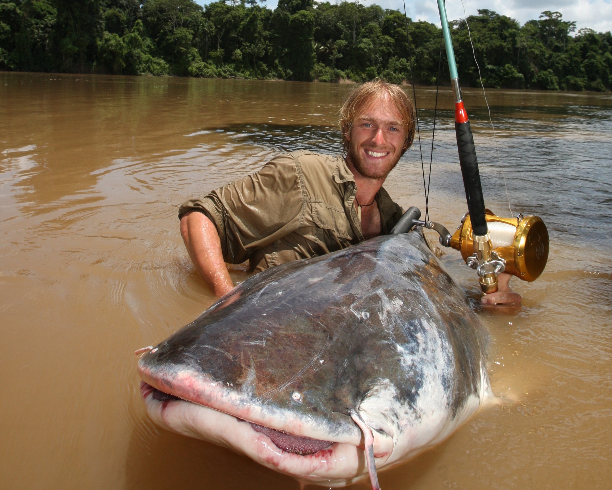 Большая большая рыба большая рыба огромная. Речные монстры Меконг. Mekong giant Catfish.