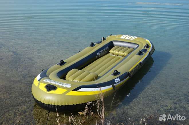 Fishman 300 Set мотор