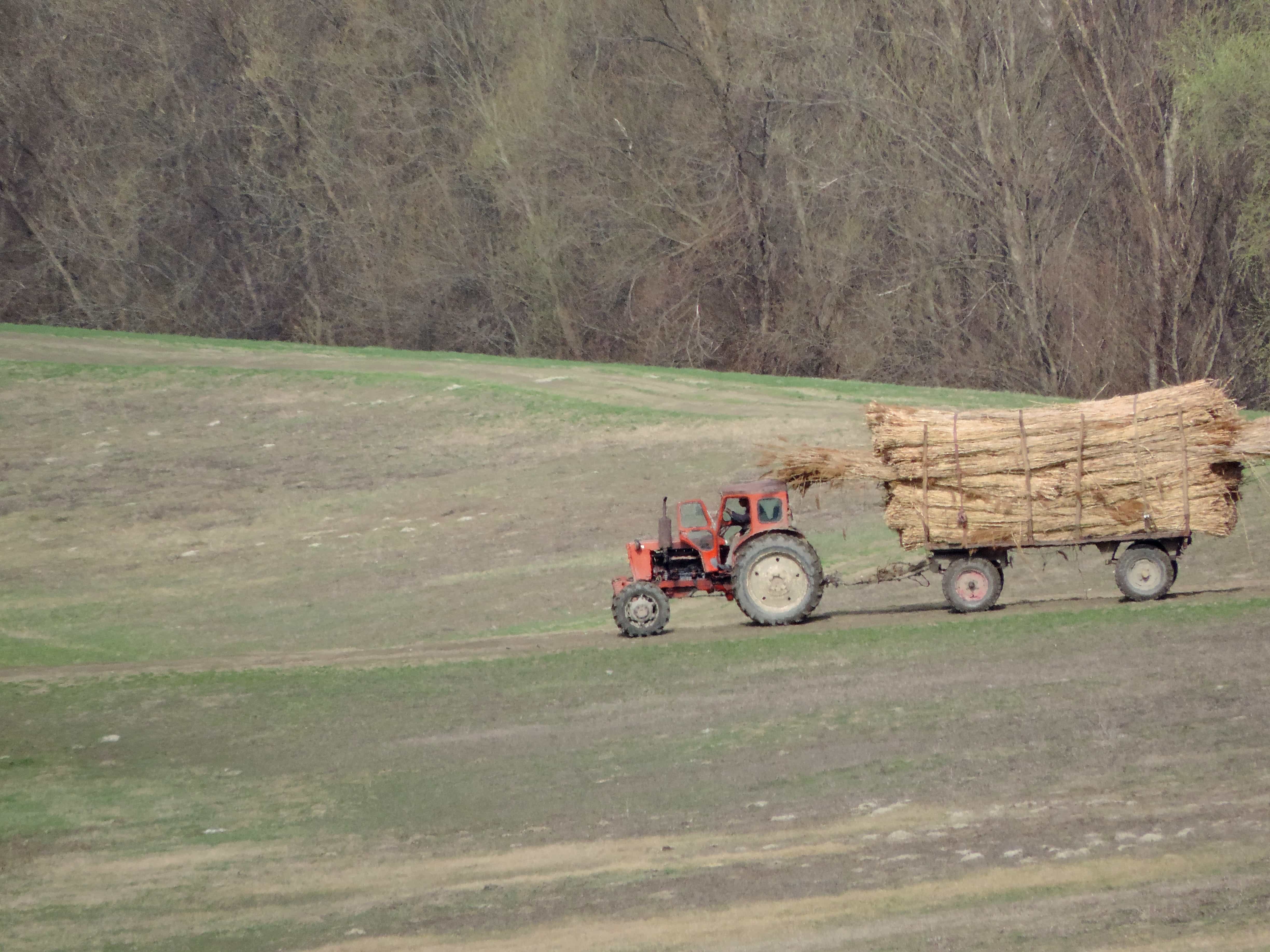 Трактора грузят. Трактор из сена. Машина в поле. Поле тракторов из тачек. Трактор Soils.