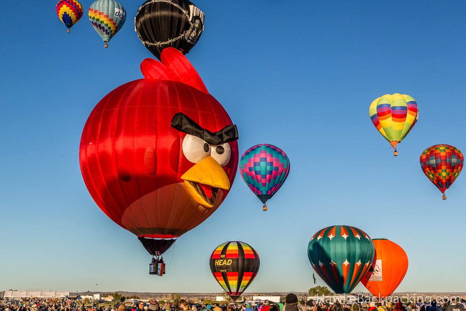 Какие воздушные шары лучше. Фестиваль воздушных шаров в Альбукерке. Albuquerque International Balloon Fiesta фестиваль. Фестиваль воздушных шаров в Альбукерке США. Фестиваль воздушных шаров в Нью-Мексико.