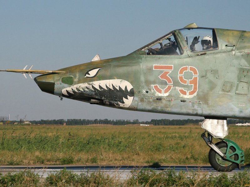 Су-25 Штурмовик и летчик