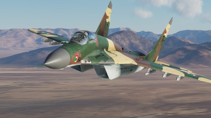 Mig 29s