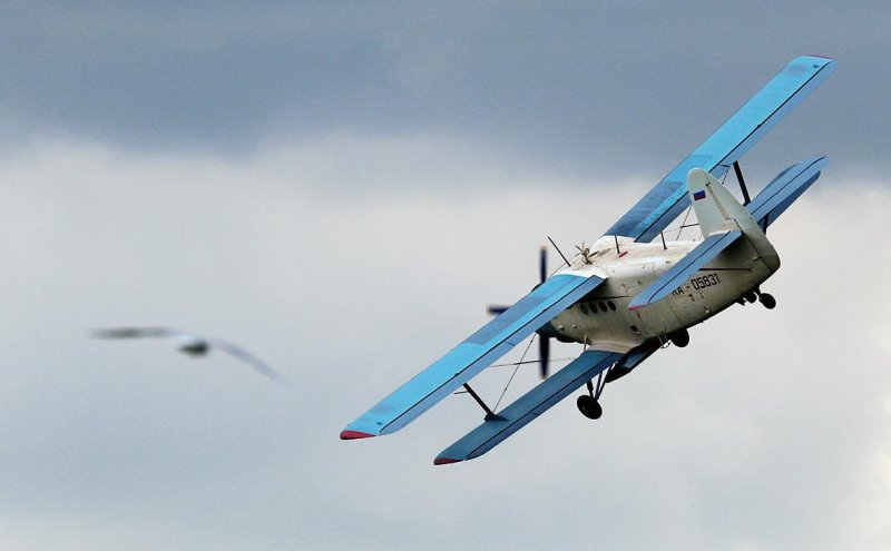 Кукурузник АН-2